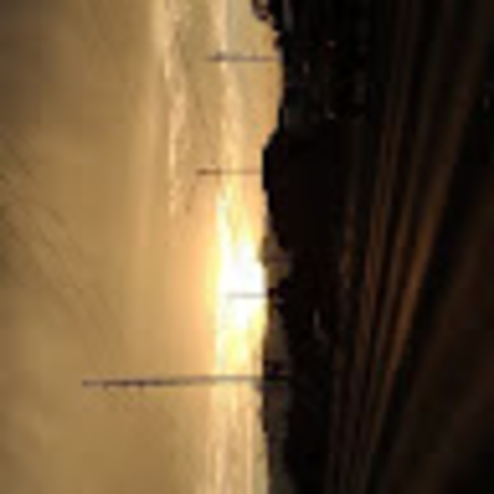 Meet your Posher, Preston